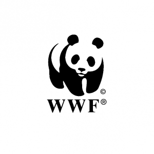 8-wwf-quadrat